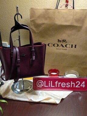 Coach Mollie Tote 25